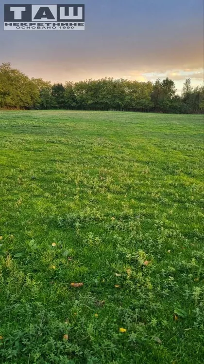 Vučkovica | 4zida.rs