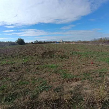 Filipa Hristića | 4zida.rs