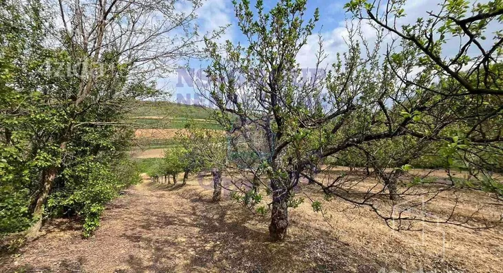 Poljoprivredno zemljište | 4zida