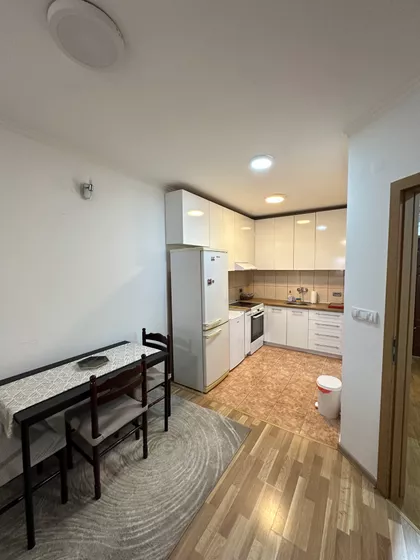 Dr Svetislava Kasapinovića | 4zida.rs