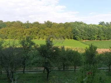 Erdevik