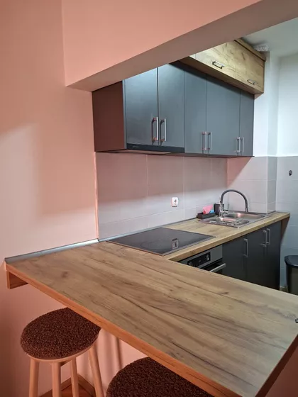 Danila Kiša | 4zida.rs