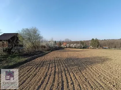 Draževac | 4zida.rs