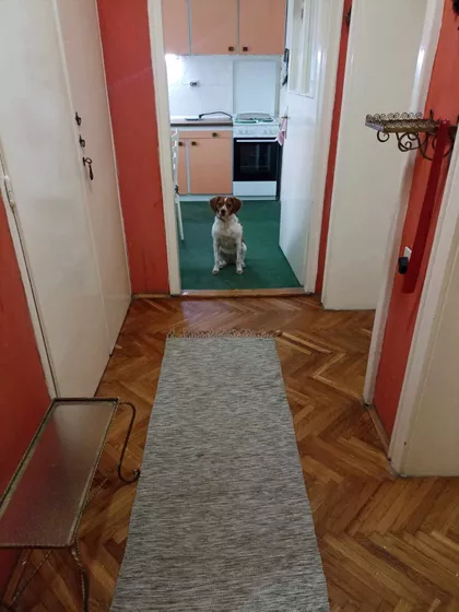 Sinđelićev Trg | 4zida.rs