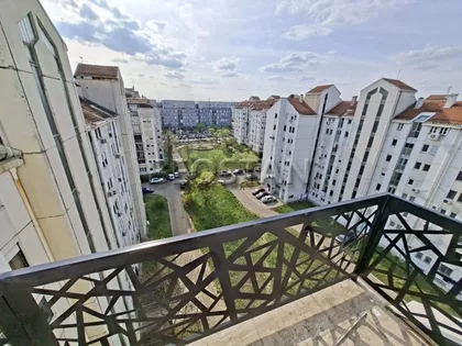 Dr Ivana Ribara | 4zida.rs