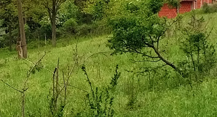 Poljoprivredno zemljište | 4zida