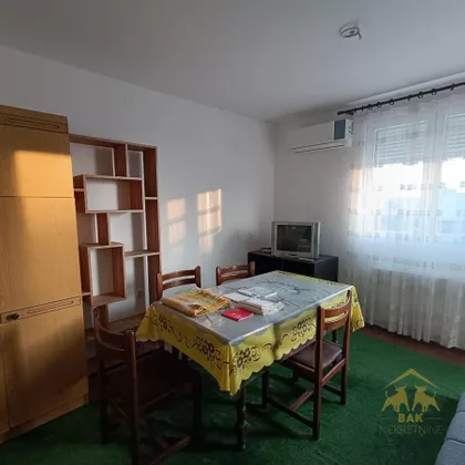 Salajka | 4zida.rs