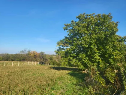 Gradske lokacije | 4zida.rs