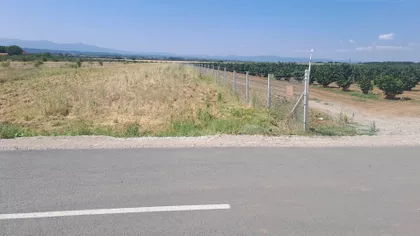 Jovice Mihajlovića | 4zida.rs