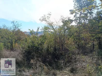 Jasenak | 4zida.rs