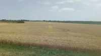 Poljoprivredno zemljište | 4zida