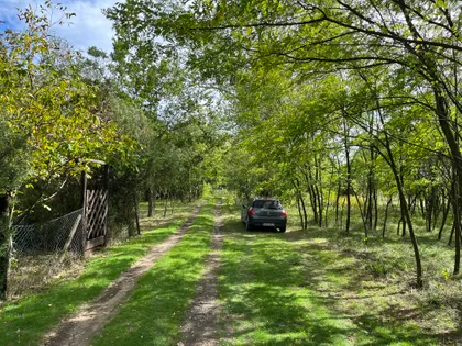 Borova 24 | 4zida.rs