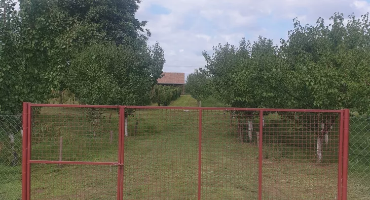 Poljoprivredno zemljište | 4zida