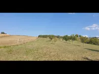 Ledinci, Okolne lokacije, Novi Sad | 4zida.rs