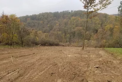 Barajevo (mesto) | 4zida.rs