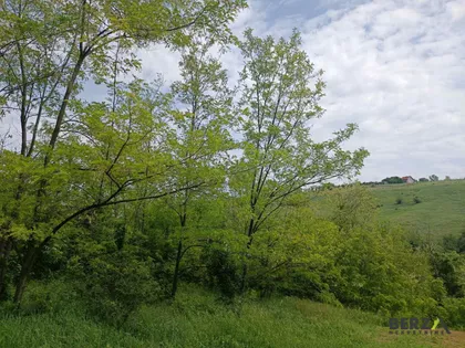 DONJA BARANJA | 4zida.rs