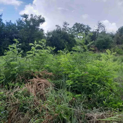 Paragovo | 4zida.rs