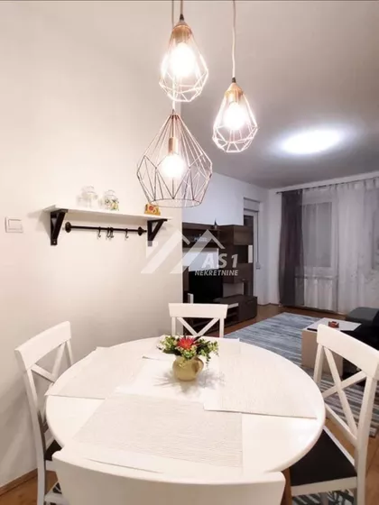 Vojvode Šupljikca | 4zida.rs