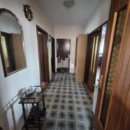 Narodnog Fronta | 4zida.rs