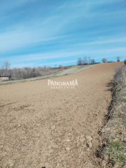 Timočki put | 4zida.rs