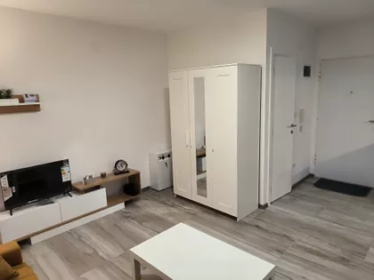 Svilajska | 4zida.rs