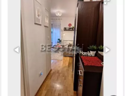 Vespucijeva | 4zida.rs