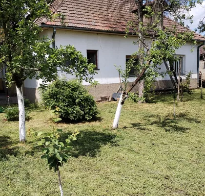 Bogdanović Jovana 9 | 4zida.rs