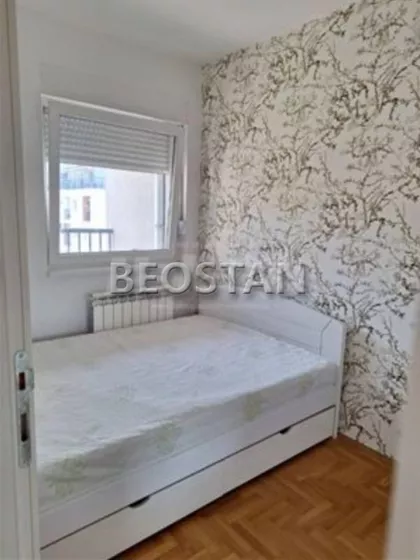 Mileve Maric Ajnstajn | 4zida.rs