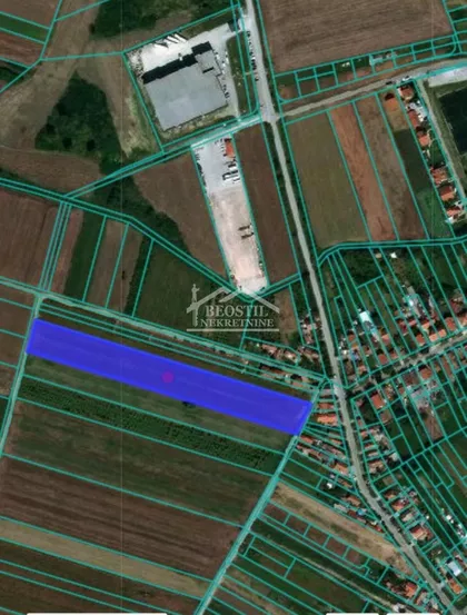 Dobanovci | 4zida.rs