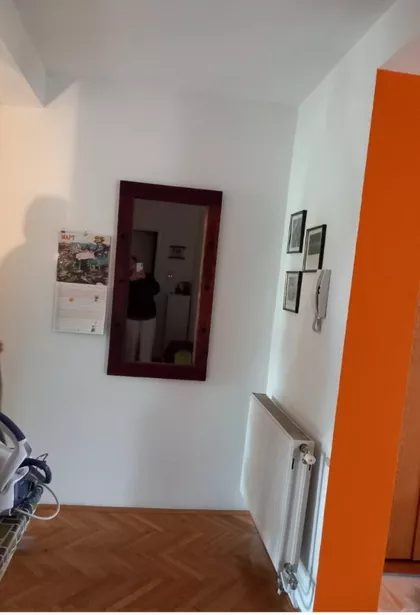 Miše Dimitrijevića | 4zida.rs