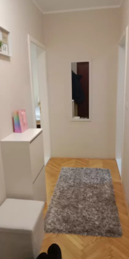 Braće Ribnikar | 4zida.rs