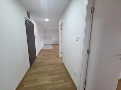 Nova Detelinara | 4zida.rs