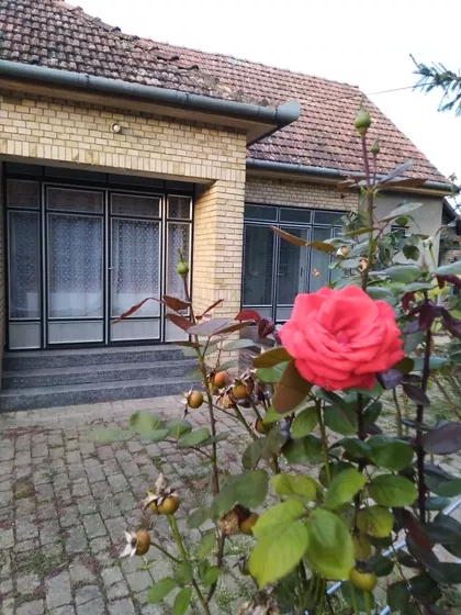 Preradovićeva 21 | 4zida.rs