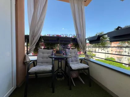 Južni Telep | 4zida.rs