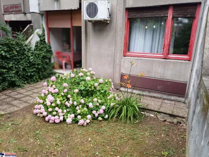 Bulevar Oslobođenja | 4zida.rs