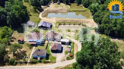 Dobrivoja Maksimovića | 4zida.rs