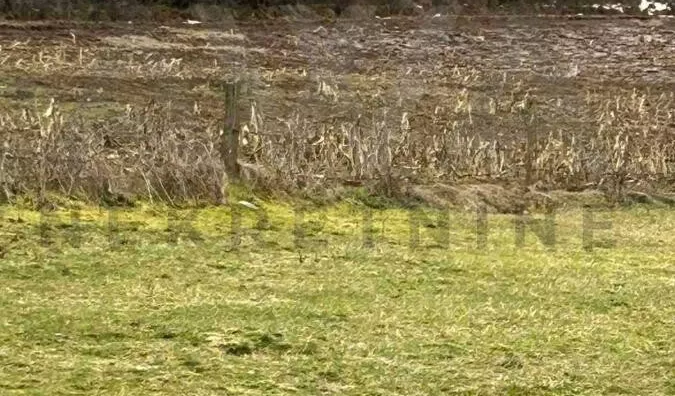 Poljoprivredno zemljište | 4zida