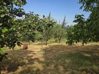 Sremska Kamenica | 4zida.rs