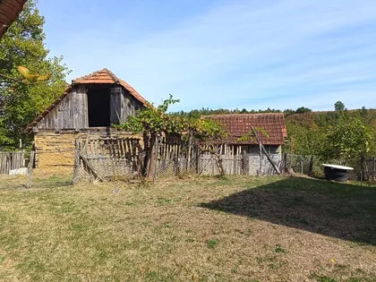 Adžine Livade | 4zida.rs