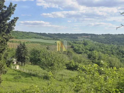 Fruška Gora | 4zida.rs