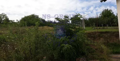 Čortanovci | 4zida.rs