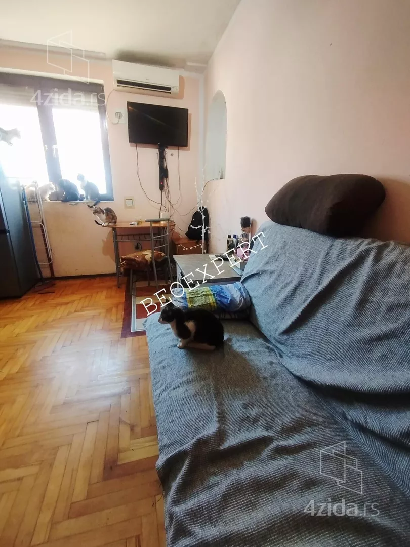 Garsonjera | 4zida