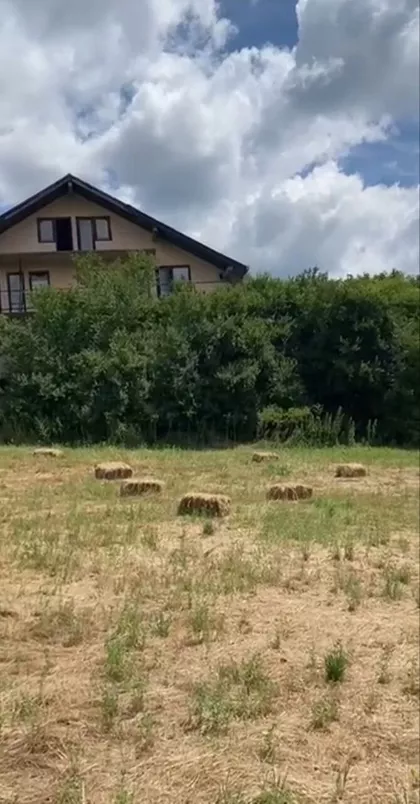 Živka Stevanovića-Žikice | 4zida.rs