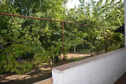 Mali Bajmok | 4zida.rs