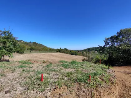 Sremska Kamenica | 4zida.rs