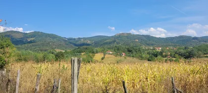 Kosovskog boja 8 | 4zida.rs