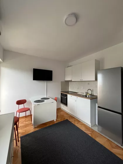 Dragoslava Srejovića | 4zida.rs