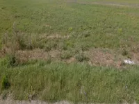 9. Maj, Palilula, Gradske lokacije, Niš | 4zida.rs