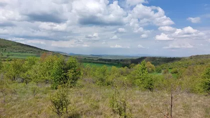 Gornja Bela Reka | 4zida.rs