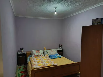 Pačir | 4zida.rs